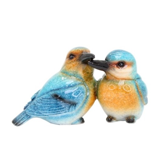 Kingfisher Pair