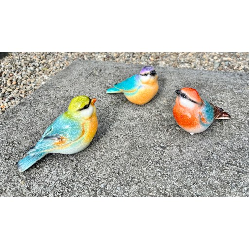 Medium Sparrow